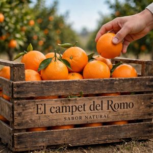 Naranja (5 kg)