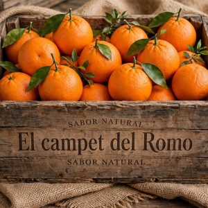 Naranja (10 kg)